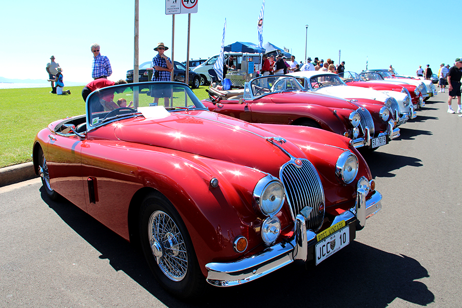 Some of the amazing Jaguars that you will see  during the four day event. Photos supplied by Ken White. 