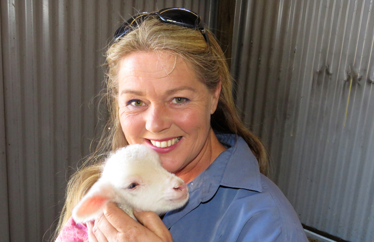 Julie Steepe with Mindy, one of 25 newborn lambs.