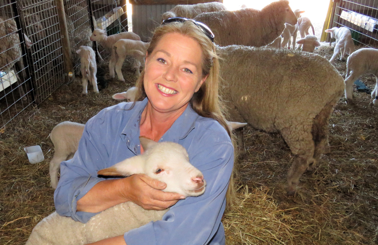 Julie Steepe with Verity the lamb. 
