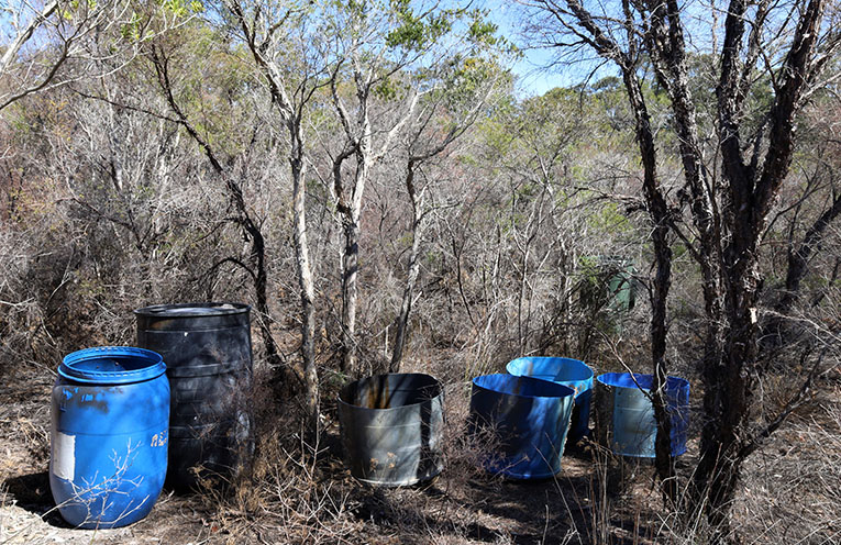 Illegal dumping articles image