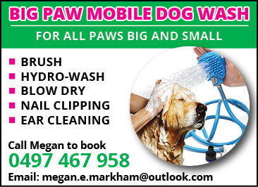 Big Paw Dog Wash