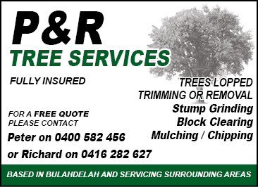 P & R Tree Services