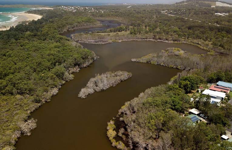 City of Coffs Harbour proposes task force for Hearnes Lake health improvements